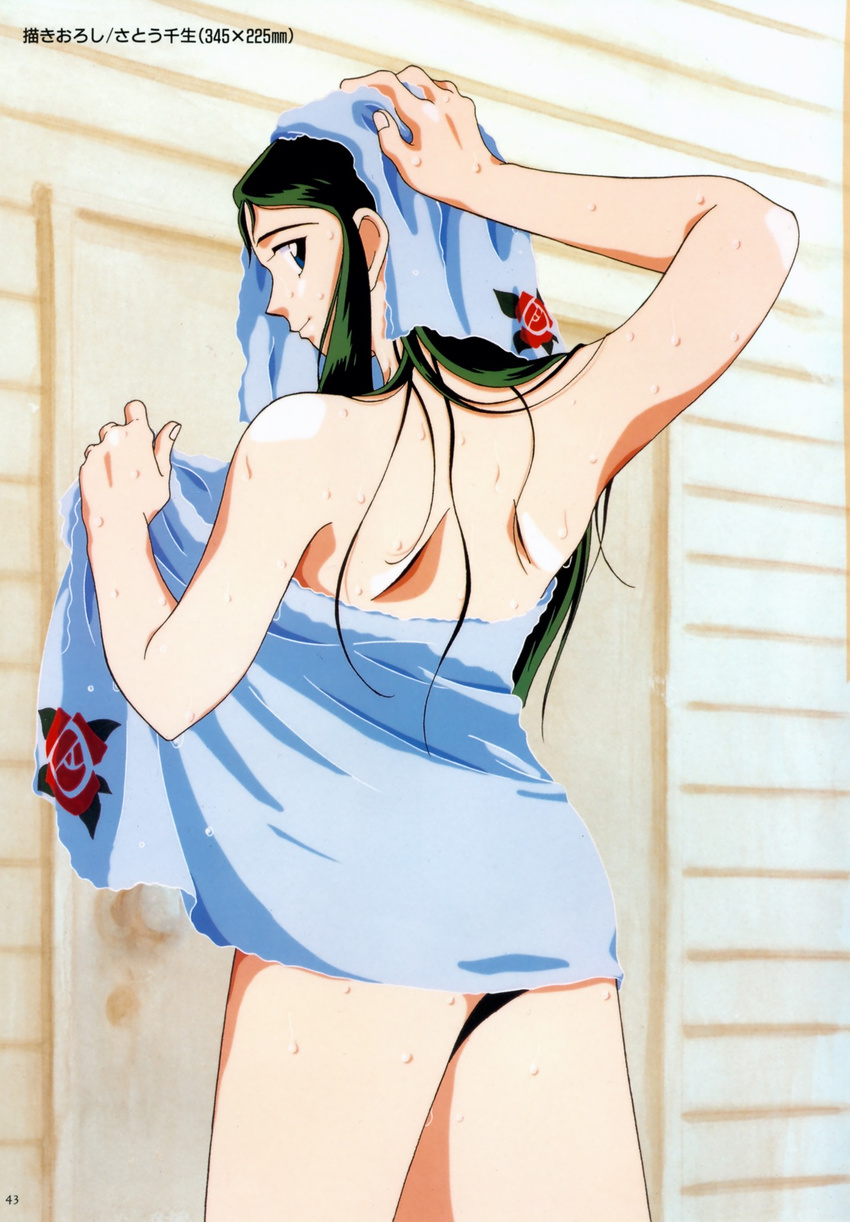 giant_robo ginrei nude towel wet