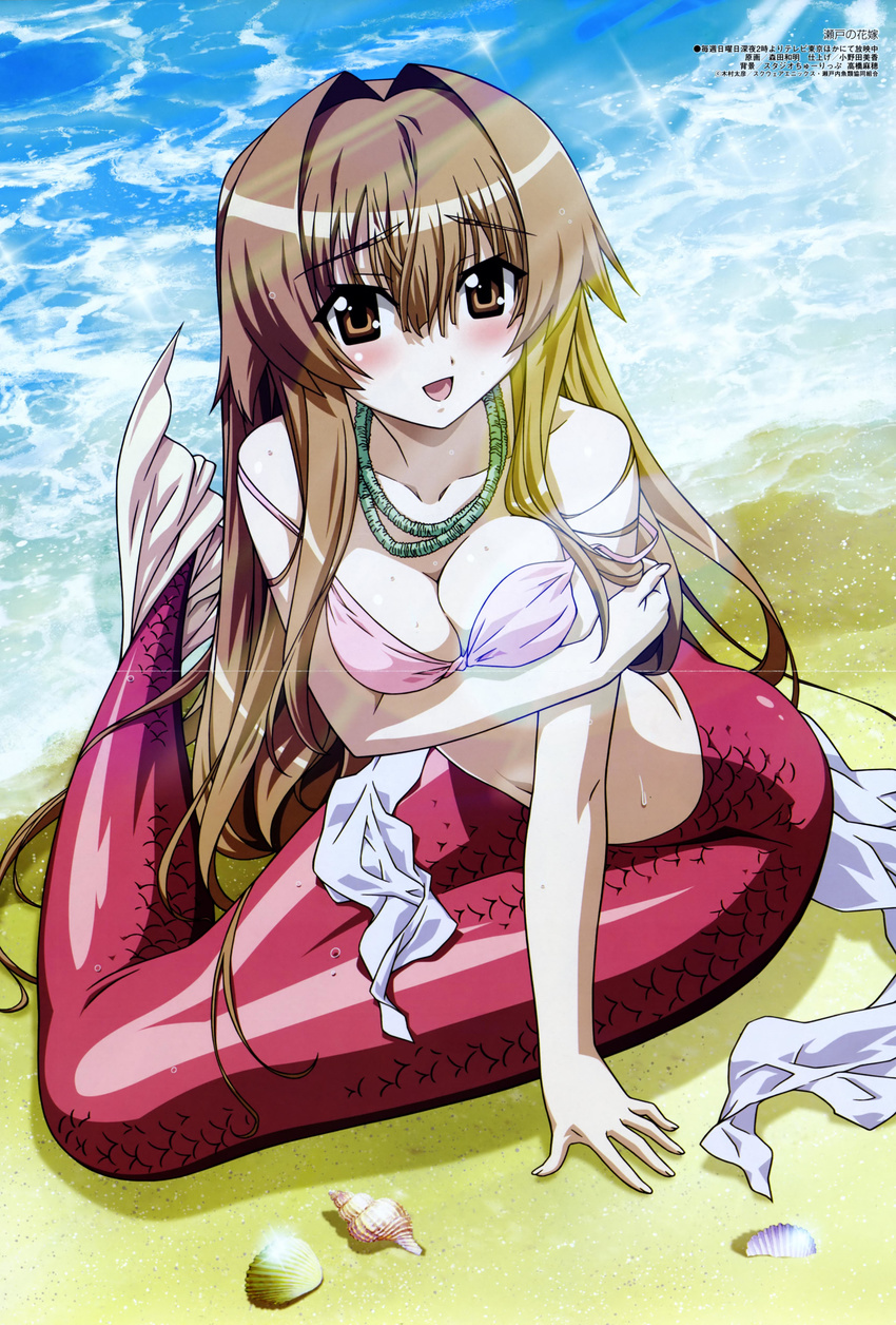 beach bikini_top breast_hold cleavage crease fixme mermaid seto_no_hanayome seto_sun