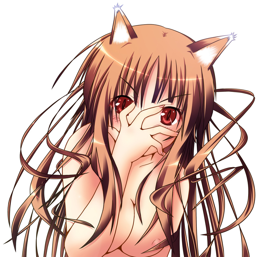 animal_ears blush breasts brown_hair cleavage hand_on_own_face highres holo large_breasts long_hair ngirln4 nipples nude red_eyes slit_pupils solo spice_and_wolf wolf_ears