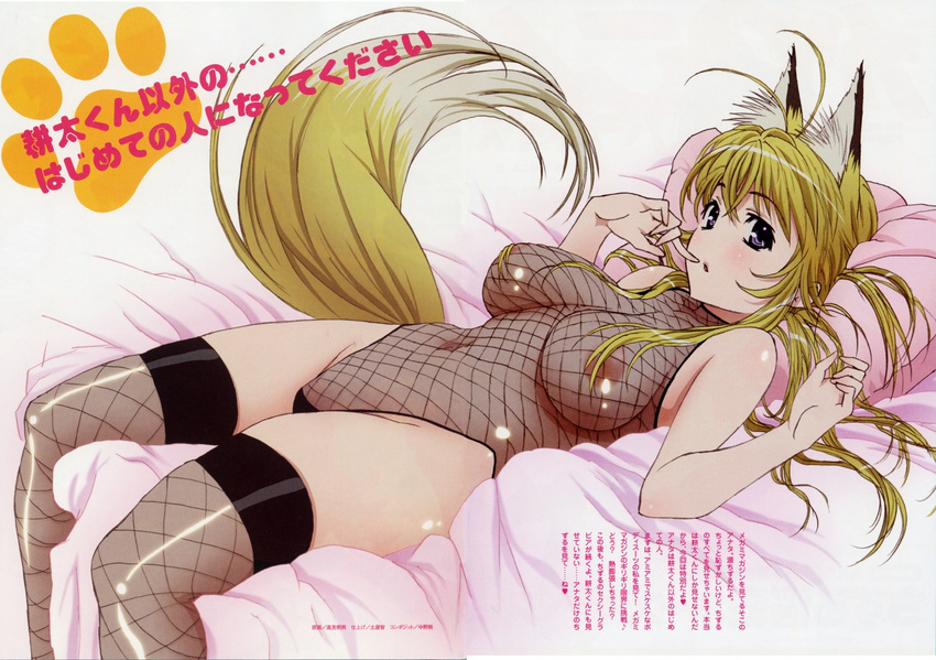 areolae bleed_through bodysuit kanokon kemonomimi minamoto_chizuru see_through tail takami_akio thighhighs