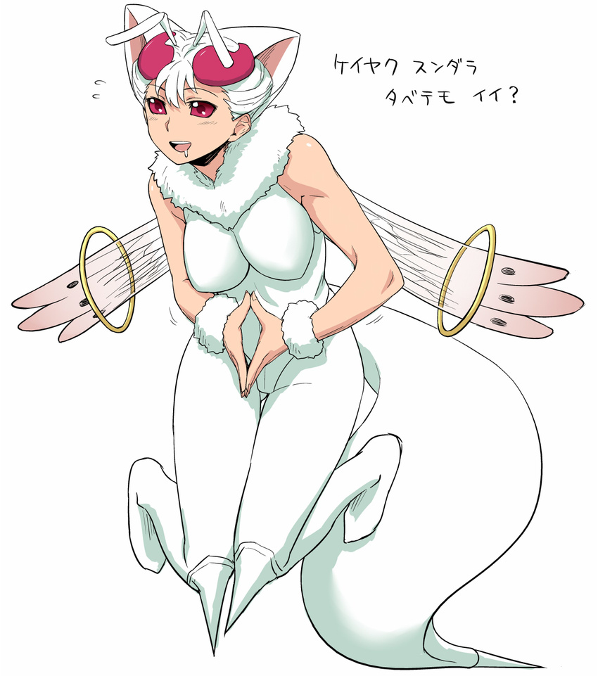:d animal_ears antennae bare_shoulders bee_girl breasts cat_ears cosplay floating flying_sweatdrops fur_collar fusion highres impossible_clothes impossible_shirt insect_girl itou_yuuji katakana kyubey large_breasts mahou_shoujo_madoka_magica monster_girl namesake open_mouth pink_eyes pun q-bee saliva shirt simple_background sleeveless smile solo steepled_fingers tail translated vampire_(game) white_background white_hair wings wristband