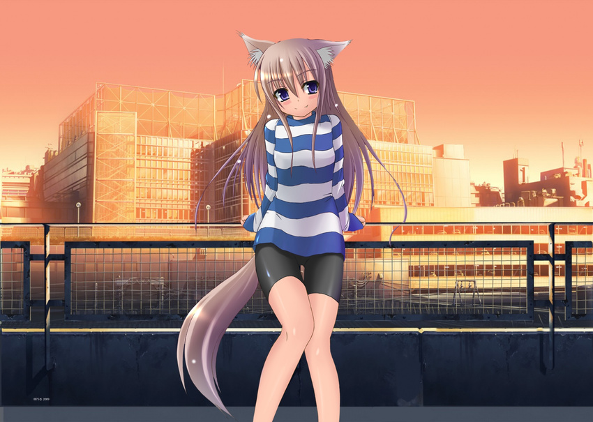 animal_ears bike_shorts blush_stickers brown_hair building dog_ears dog_tail fang fence highres mizunoe_kotaru original outdoors purple_eyes shorts smile solo striped striped_sweater sweater tail