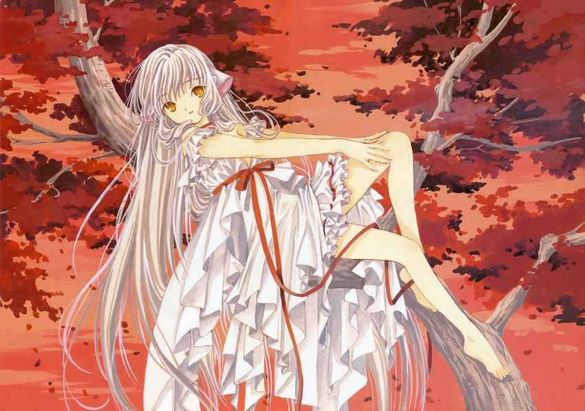 chii chobits clamp tagme