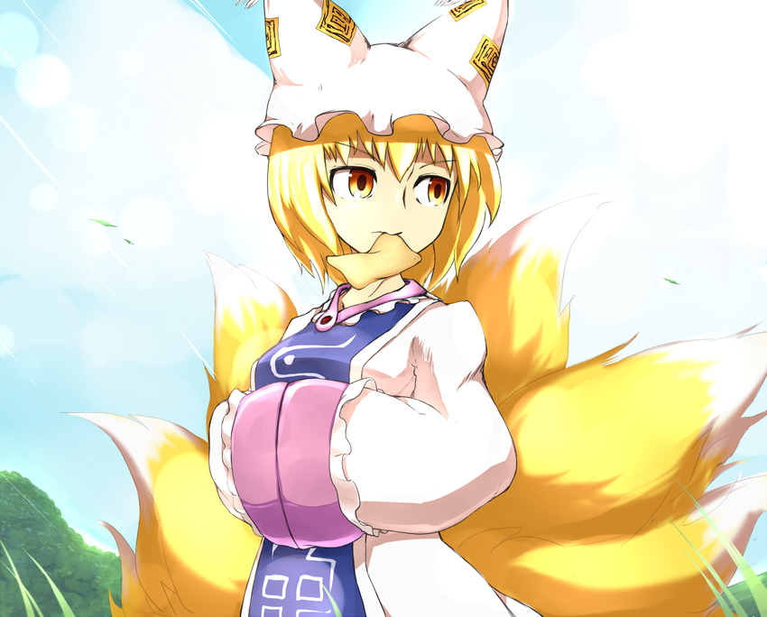 aburaage blonde_hair food fox_tail grass hands_in_opposite_sleeves hat keta_(psychetangle) mouth_hold multiple_tails short_hair solo tail touhou upper_body yakumo_ran yellow_eyes