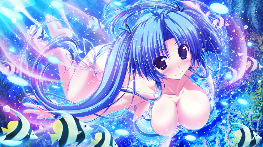 animal barefoot bikini blue_hair cleavage fish game_cg kamikaze_explorer okihara_kotoha oshiki_hitoshi purple_eyes swimsuit twintails water