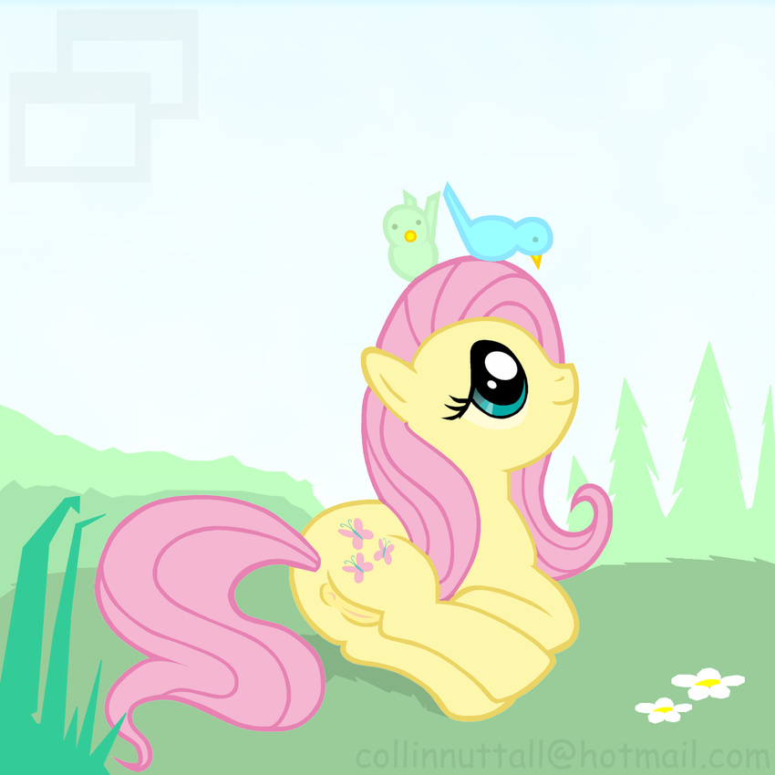 anus avian bird birds blue_eyes cute equine female feral fluttershy_(mlp) friendship_is_magic fur grass hair horse lying mammal my_little_pony on_side outside pegasus pink_hair pony pussy slushy smile solo tree wood yellow_fur