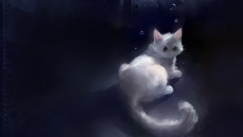 1920x1080 apofiss black bubble bubbles cat cute feline fur green_eyes looking_at_viewer looking_back mammal solo wallpaper whiskers white white_fur widescreen