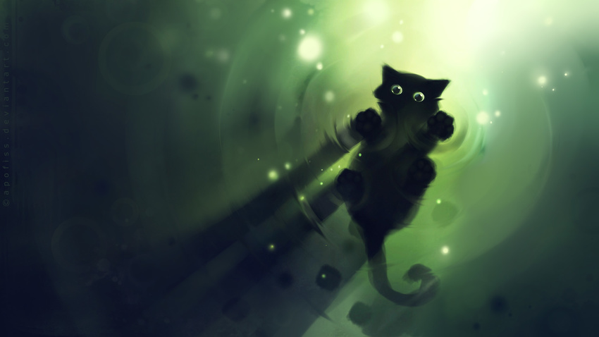 1920x1080 apofiss black black_fur cat cute feline fur green green_eyes mammal paws ripples solo stare wallpaper water widescreen