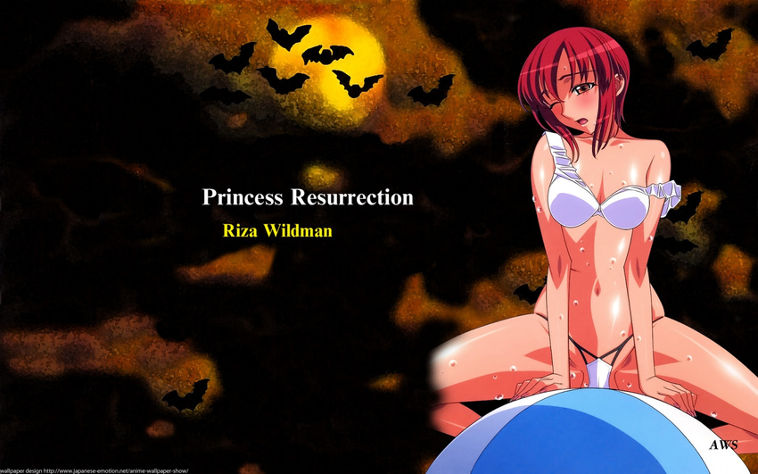 princess_resurrection riza_wildman tagme