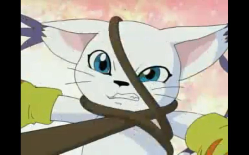 angry blue_eyes cat digimon digimon_kaiser digimon_zero_two gatomon imminent rape scared tailmon whip