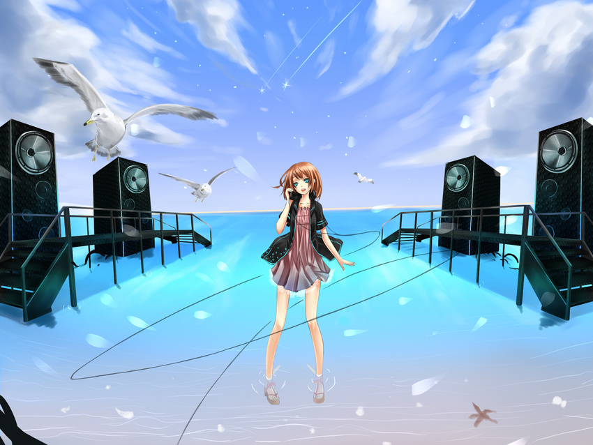 bad_id bad_nicoseiga_id bird blue_eyes brown_hair cloud day dress headphones headphones_around_neck highres open_mouth original reio_reio seagull shooting_star short_hair sky solo speaker standing wading water