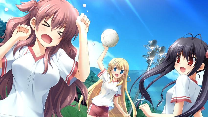 game_cg gym_uniform haruka_hinata hosaka_hina ikegami_akane minamura_airi with_ribbon