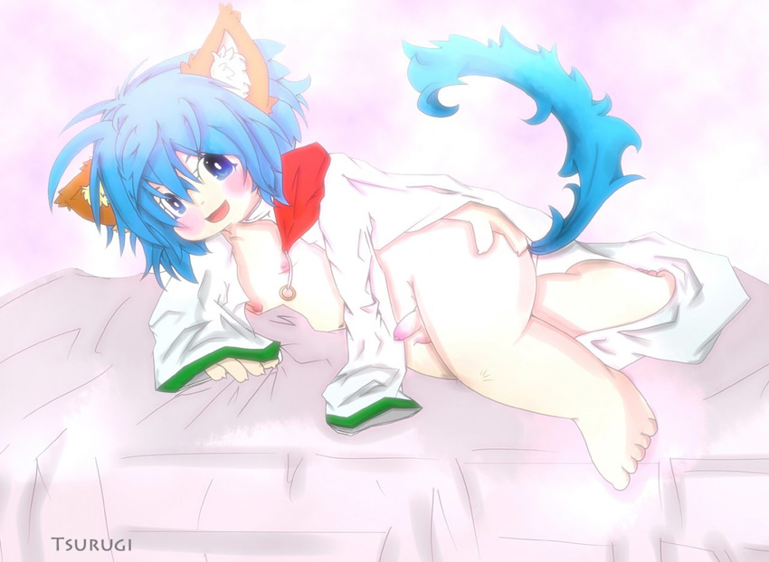 blue_eyes boy cat cat_ears clothed clothing feline half-dressed male mammal penis pose solo tsurugi