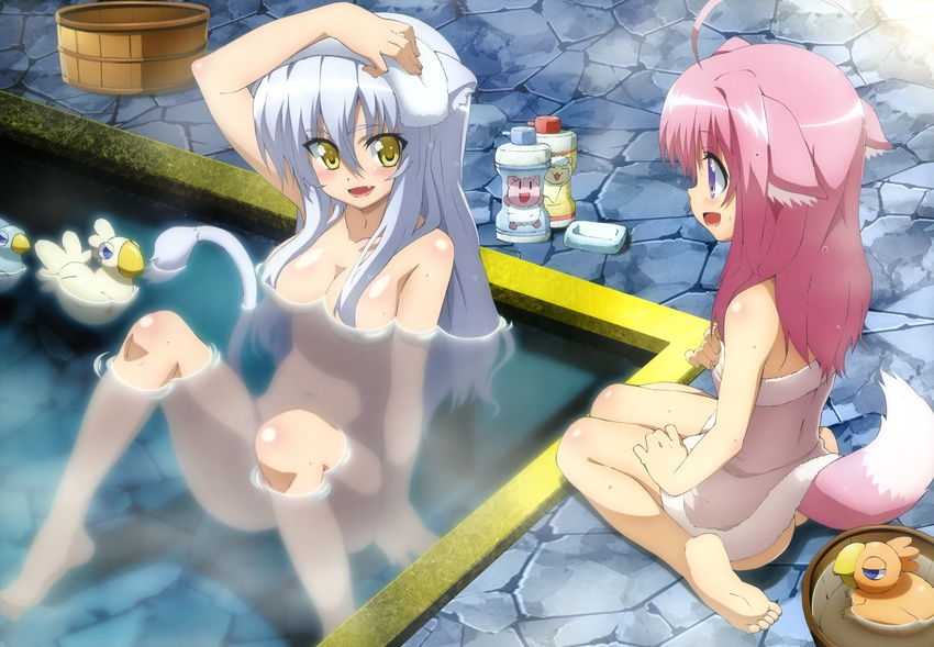 :d absurdres ahoge barefoot bath bathing breasts cleavage dog_days dog_girl fang feet hair_over_breasts highres leonmitchelli_galette_des_rois long_hair medium_breasts millhiore_f_biscotti multiple_girls non-web_source nude nyantype official_art open_mouth partially_submerged pink_hair purple_eyes silver_hair smile soap soles sunagawa_masakazu tail towel tub water yellow_eyes