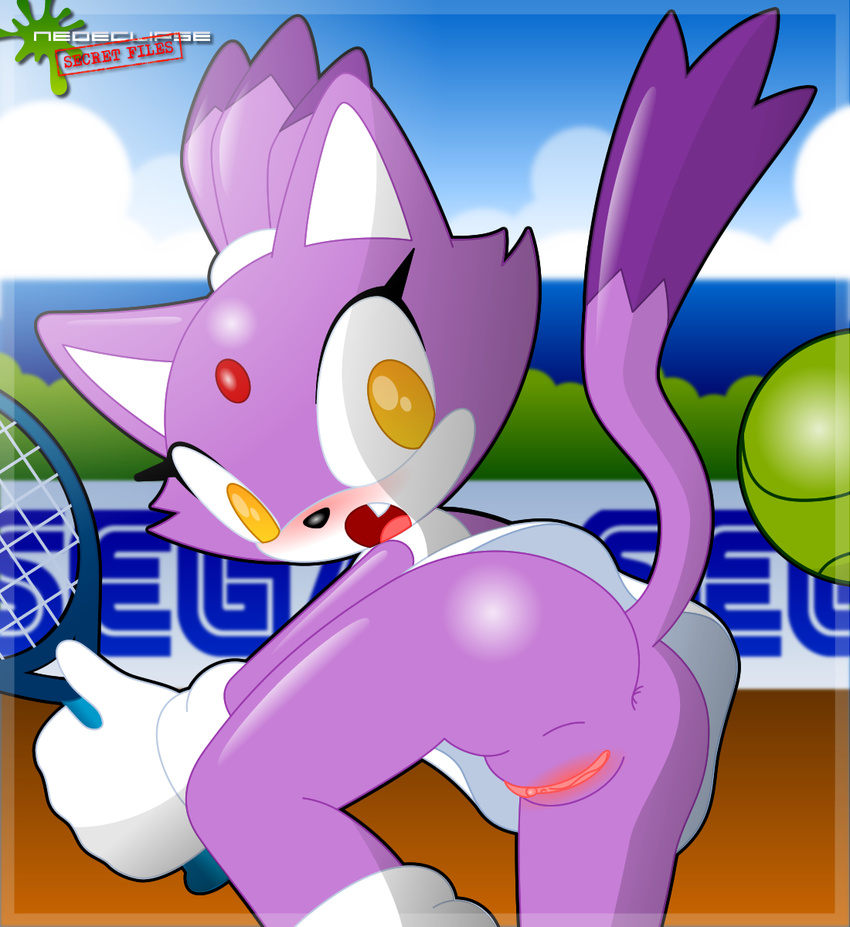 blaze_the_cat neoeclipse sonic_team tagme