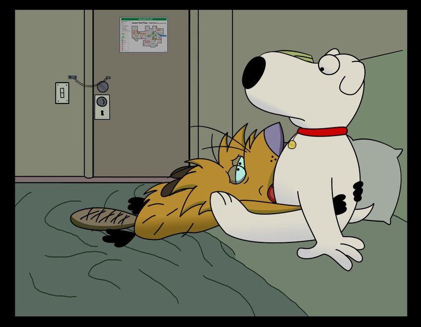 angry_beavers brian_griffin crossover family_guy johnofe norbert