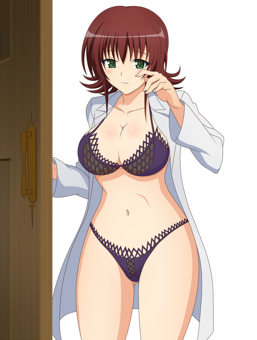 bangs blush bra breasts brown_hair door green_eyes highres labcoat large_breasts lingerie looking_at_viewer mikado_ryouko panties photoshop purple_bra purple_panties school_nurse short_hair simple_background solo to_love-ru toloveru transparent_background underwear vector_trace