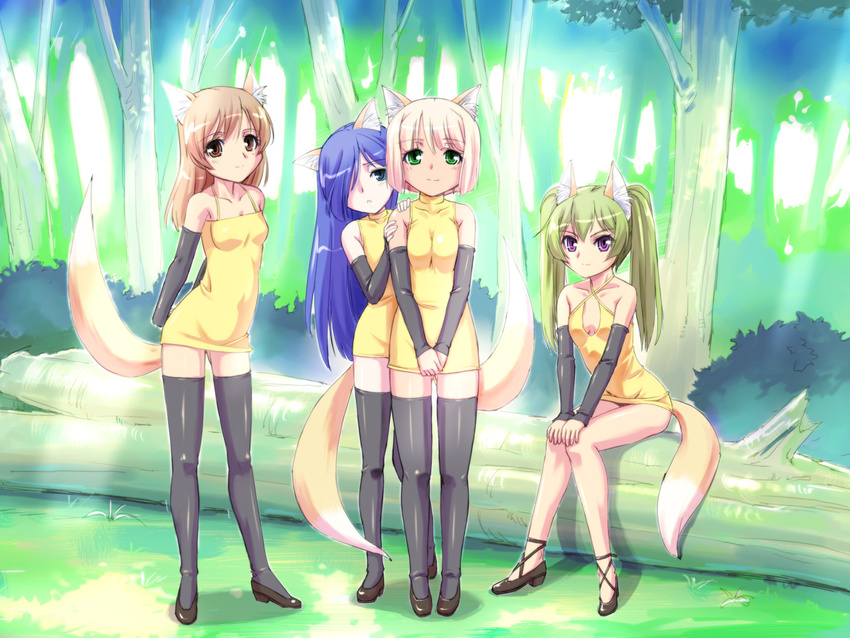 4girls animal_ears animal_tail black_legwear black_thighhighs blue_eyes blue_hair brown_eyes brown_hair detached_sleeves dress fox_ear fox_ears fox_tail green_eyes green_hair hair_over_one_eye long_hair multiple_girls open_mouth original purple_eyes shioji_(sioji24) short_hair sitting smile tail thighhighs twintails urase_shioji