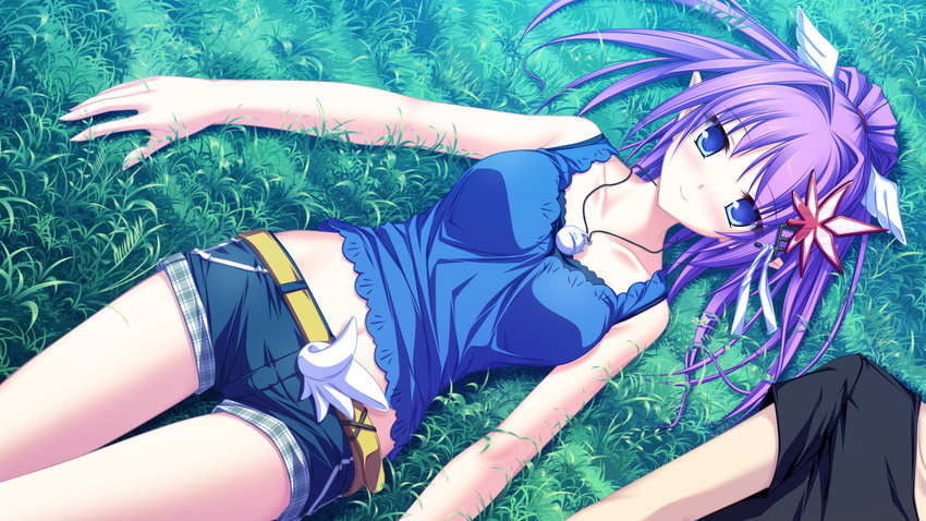 blue_eyes elf game_cg grass kureha_(maikaze_no_melt) maikaze_no_melt purple_hair tenmaso whirlpool