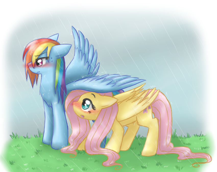 couple cute equine female feral fluttershy_(mlp) friendship_is_magic hasbro mammal my_little_pony pegasus platina-jolteon rain rainbow_dash_(mlp) wings