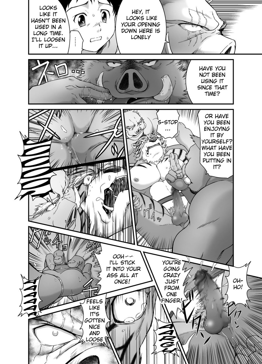 anal_fingering anthro beastmen_forest biceps big_muscles boar cave censored comic english_text feline fingering gay greyscale human kid male mammal manga monochrome muscles neyukidou nipples ork penis porcine text tiger