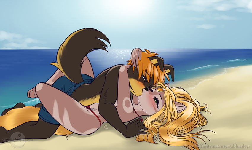 beach canine dog duo female kingofkof kissing male mammal maya miles seaside skimike straight swimming_trunks swimsuit water