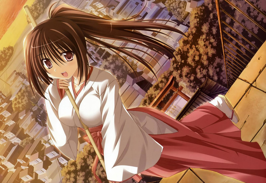 bangs beach between_breasts breasts broom brown_eyes brown_hair dutch_angle hakama highres japanese_clothes katakoi_no_tsuki large_breasts long_hair looking_up miko open_mouth ponytail red_hakama sakaki_nagisa sandals scenery shrine sky smile solo sunset tabi torii town tree us@myo water