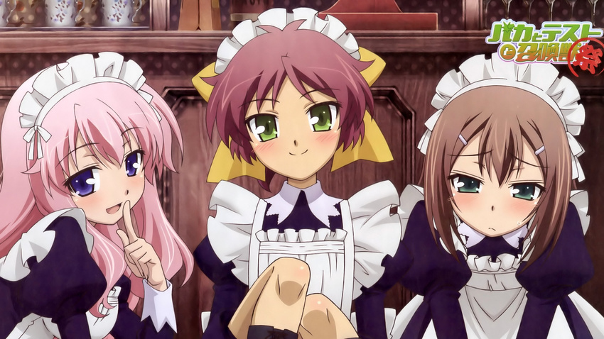 baka_to_test_to_shoukanjuu himeji_mizuki kinoshita_hideyoshi shimada_minami tagme