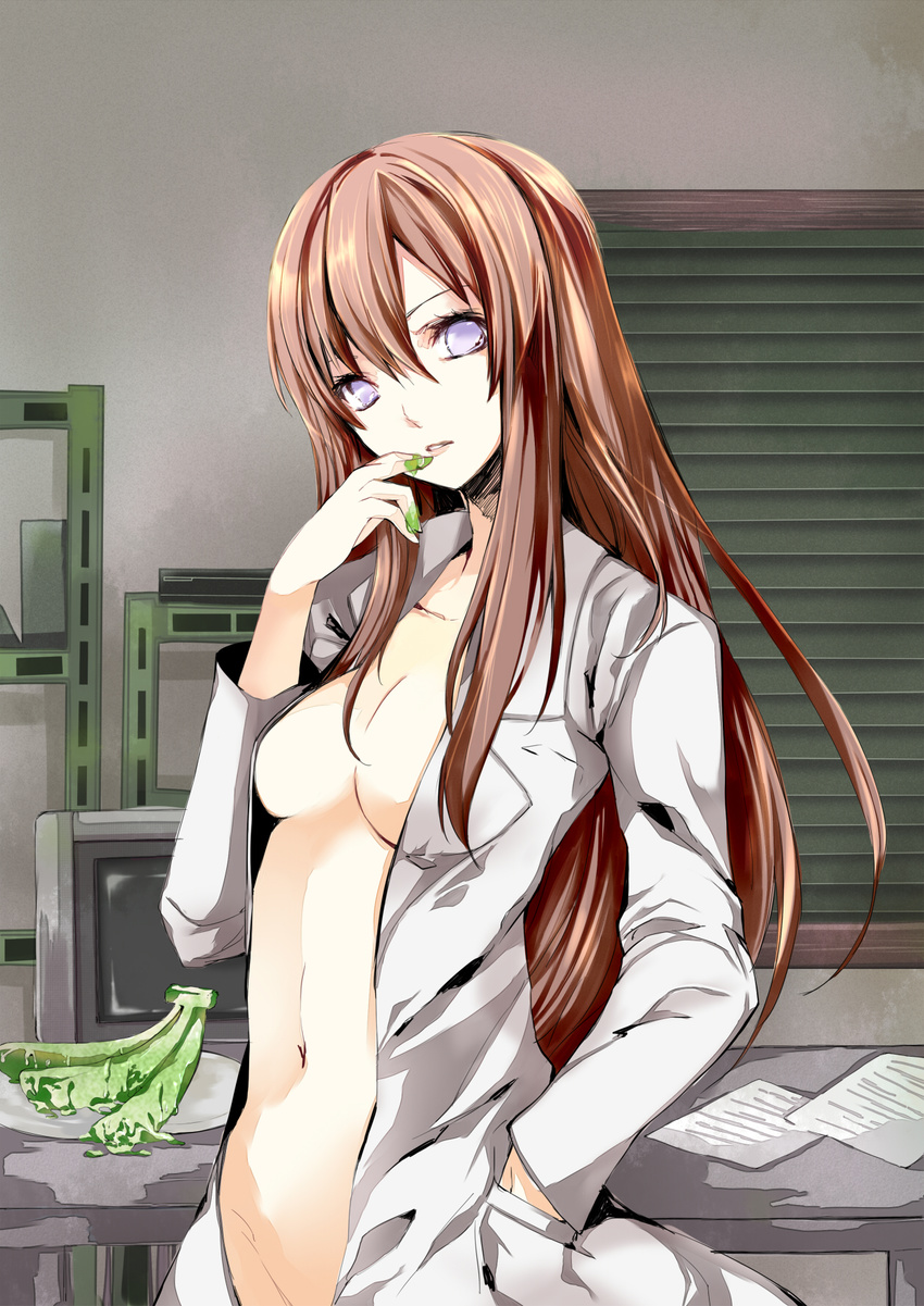 atoshi banana breasts brown_hair food fruit gel_banana hand_in_pocket highres labcoat long_hair looking_at_viewer makise_kurisu medium_breasts naked_labcoat navel no_pupils open_clothes open_shirt purple_eyes shirt sideboob slime solo steins;gate very_long_hair