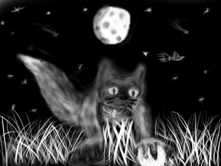 arachnid arthropod ball cat feline flying_saucer greyscale mammal monochrome moon night solo spider stars unknown_artist