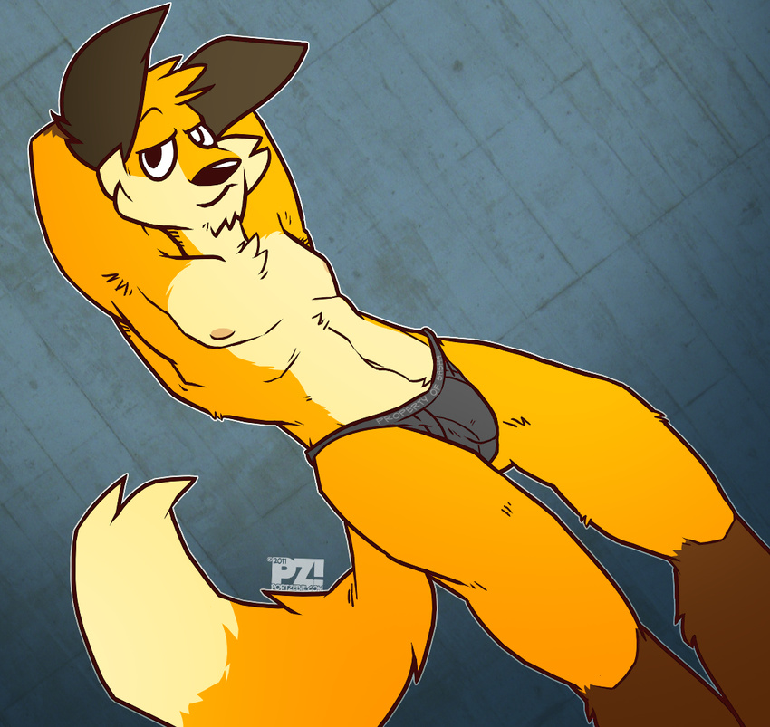 fox male mammal nipples portzebie solo tail underwear