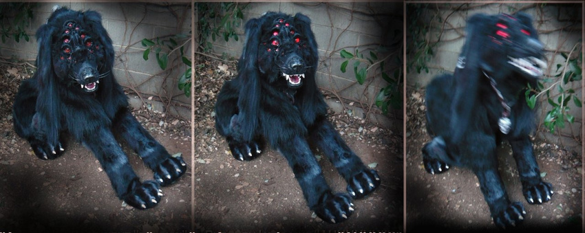 black black_fur canine cool_colors dog feral fur fursuit hell_hound hellhound hellsing horror mammal photo quadsuit real scary solo
