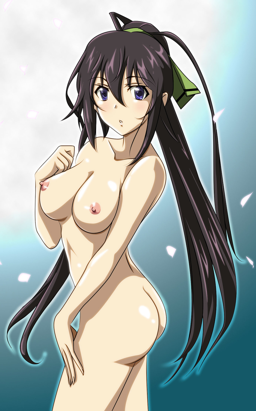 ass black_hair blue_eyes breasts gentoku highres infinite_stratos long_hair medium_breasts nipples nude ponytail ribbon shinonono_houki solo