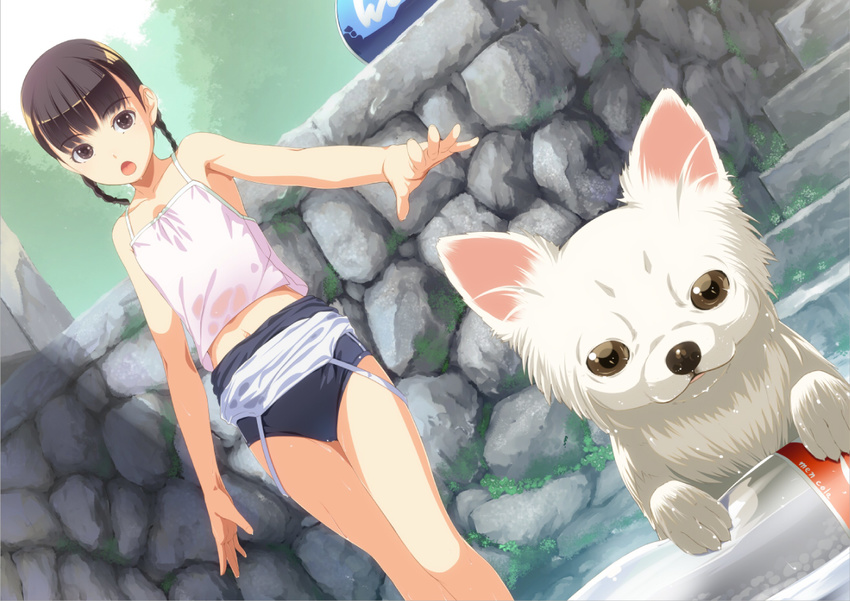 black_eyes black_hair braid camisole dog flat_chest midriff one-piece_swimsuit open_mouth original sody solo swimsuit swimsuit_pull swimsuit_under_clothes twin_braids wet