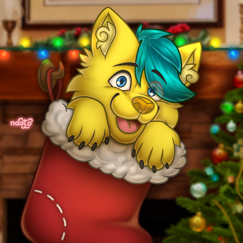 animal_humanoid anthro canid canid_humanoid canine canine_humanoid canis cat_humanoid christmas christmas_lights christmas_stocking christmas_tree clothing domestic_cat felid felid_humanoid feline feline_humanoid felis footwear hi_res holidays humanoid male mammal mammal_humanoid naoto plant socks solo tree wolf wolf_humanoid