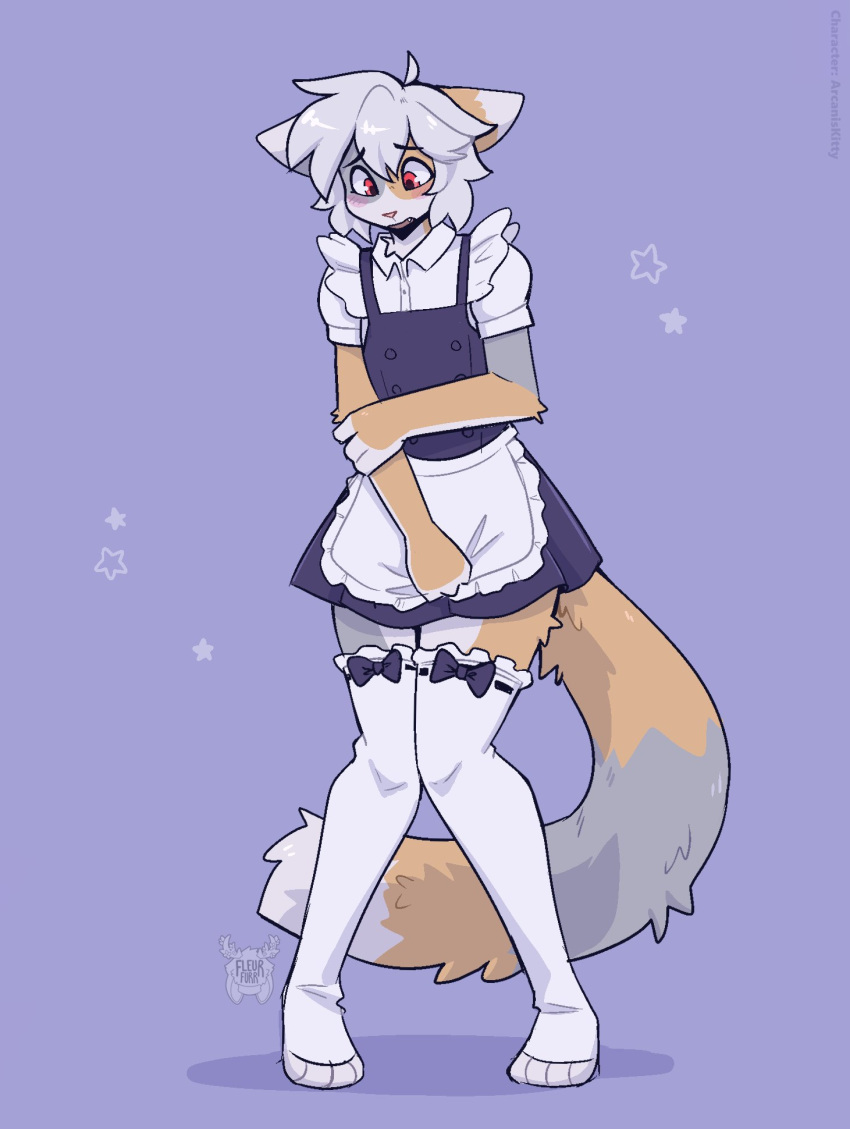 2023 anthro biped blush clothed clothing crossdressing dipstick_ears dipstick_tail embarrassed felid feline fleurfurr fur garter_belt garter_straps girly grey_body grey_fur grey_tail hair hi_res legwear leurfurr maid_uniform male mammal markings multi_tone_fur multi_tone_tail multicolored_ears nervous pink_nose red_eyes simple_background solo tail tail_markings thigh_highs two_tone_ears uniform watermark white_body white_ears white_fur white_hair white_tail yellow_body yellow_ears yellow_fur yellow_tail