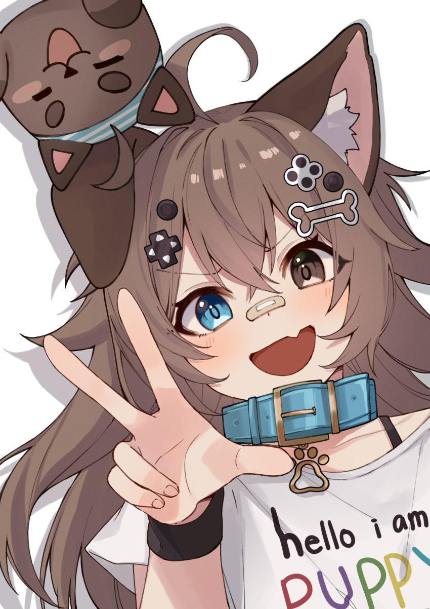 1girl :d animal_collar animal_ears bandaid bandaid_on_face bandaid_on_nose blue_eyes brown_eyes brown_hair clothes_writing collar dog_ears dog_tail fang heterochromia highres idol_corp long_hair looking_at_viewer mittsu pochi_wanmaru pochi_wanmaru_(1st_costume) second-party_source shirt short_sleeves skin_fang smile tail virtual_youtuber w white_shirt wristband