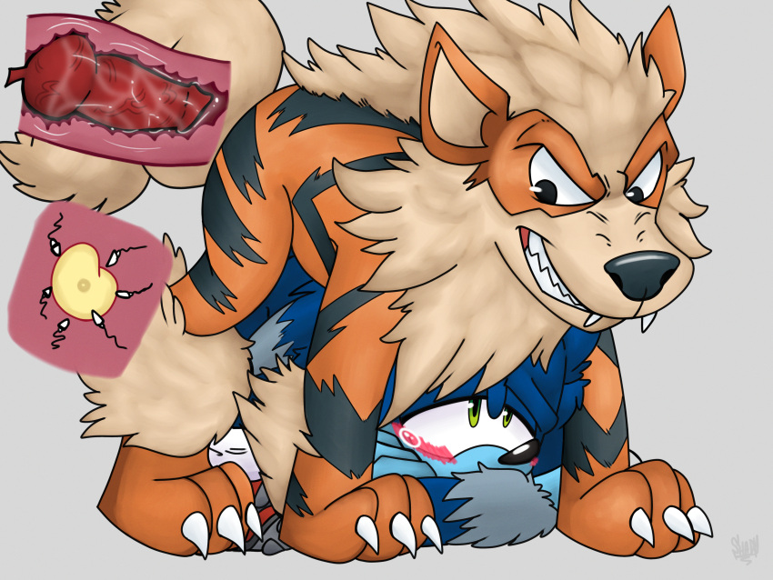 absurd_res animal_genitalia anthro anthro_on_feral arcanine bestiality bodily_fluids canid canine canis crossover cum cum_in_ass cum_inside duo ejaculation eulipotyphlan feral generation_1_pokemon genital_fluids genitals hedgehog hi_res impregnation internal knot knot_fucking knotting male male/male mammal nintendo pokemon pokemon_(species) pregnant pregnant_male sega shadydaone sonic_the_hedgehog sonic_the_hedgehog_(series) sonic_the_werehog sonic_unleashed were wereeulipotyphlan werehog