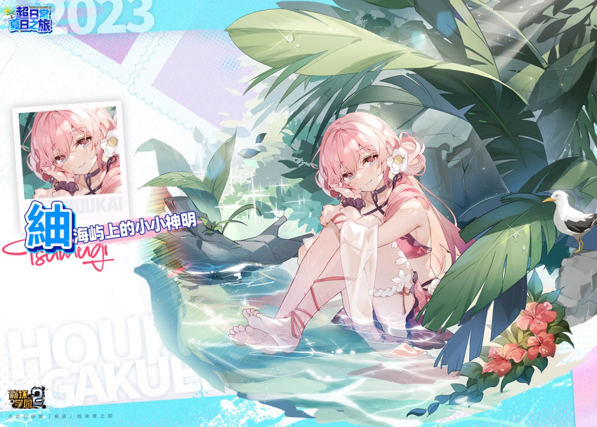 1girl 2023 bare_shoulders barefoot benghuai_xueyuan bird character_name choker copyright_name flower hair_flower hair_ornament honkai_(series) looking_at_viewer official_art pink_hair plant red_eyes second-party_source sitting swimsuit thigh_strap tsumugi_(benghuai_xueyuan) wading