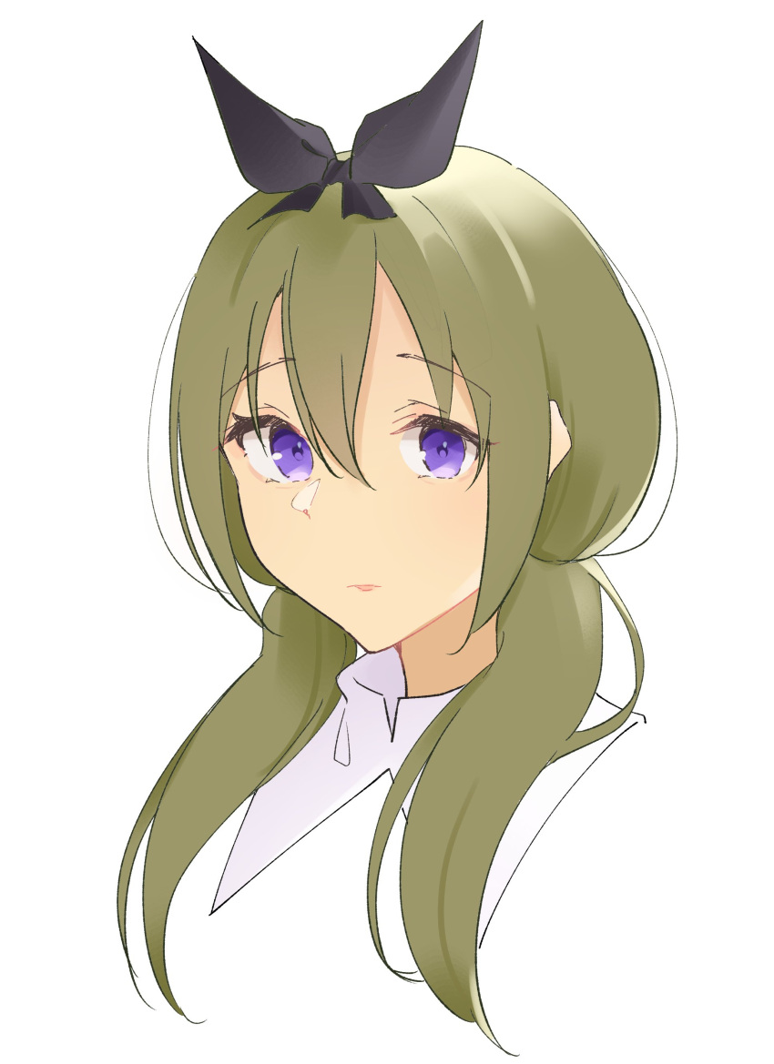 1girl absurdres assault_lily black_bow bow closed_mouth commentary_request cropped_shoulders green_hair hair_between_eyes hair_bow hair_over_shoulder highres long_hair looking_ahead low_twintails natsumiya_kuina portrait purple_eyes school_uniform simple_background solo twintails white_background yamanashi_hibari yurigaoka_girls_academy_school_uniform