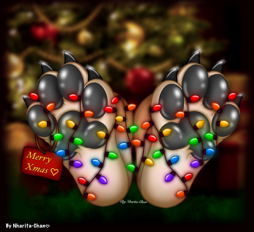 anthro cain_the_dingo canid canine canis christmas christmas_decorations christmas_lights dingo hi_res holidays male male/male mammal nharita-chan pawpads paws solo tag