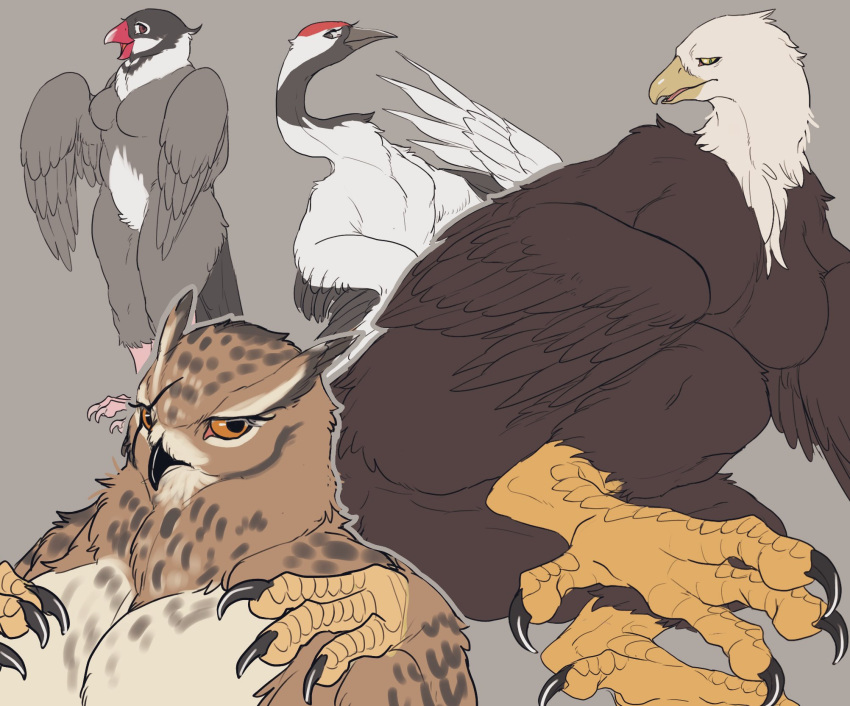 4_toes accipitrid accipitriform anisodactyl anthro avian avian_feet bald_eagle bead beak bird breasts brown_body brown_feathers claws crane_(bird) eagle feathered_wings feathers featureless_breasts feet female group gruiform hi_res long_neck lying nekomata_ftnr nude on_side open_beak open_mouth owl sea_eagle talons toe_claws toes white_body white_feathers winged_arms wings