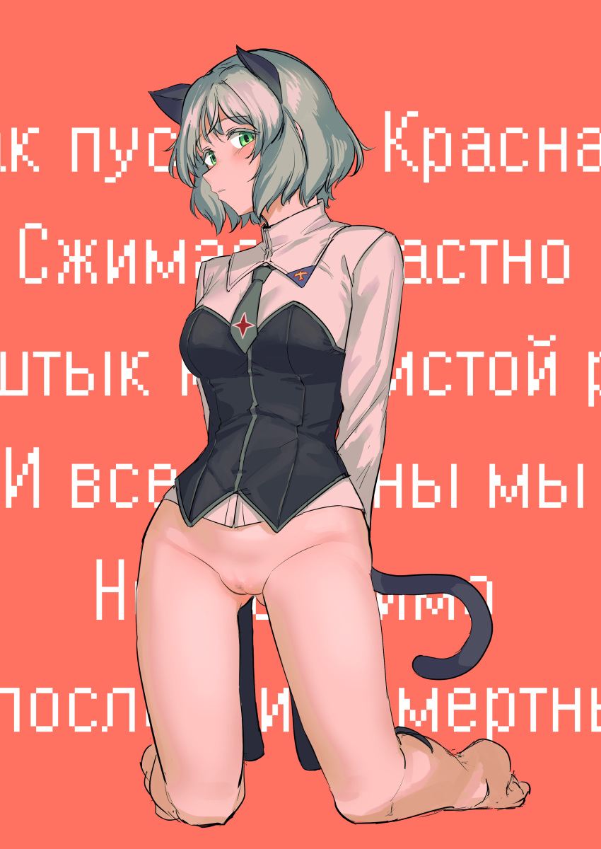1girl absurdres animal_ears blonde_hair bottomless cat_ears cat_girl cat_tail commentary_request cyrillic green_eyes grey_hair highres military military_uniform no_panties no_pants pondo_(peng-model) pussy sanya_v._litvyak shirt short_hair solo strike_witches strike_witches:_aurora_no_majo strike_witches:_suomus_misfits_squadron tail uncensored uniform vaginal world_witches_series