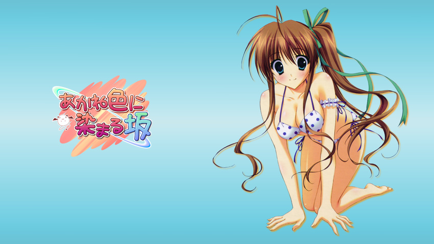 akane-iro_ni_somaru_saka all_fours armband bikini blue_eyes blush breasts brown_hair cleavage hair_ribbon highres leaning_over long_hair nagase_minato ribbon ryohka ryouka_(suzuya) side_ponytail smile swimsuit wallpaper