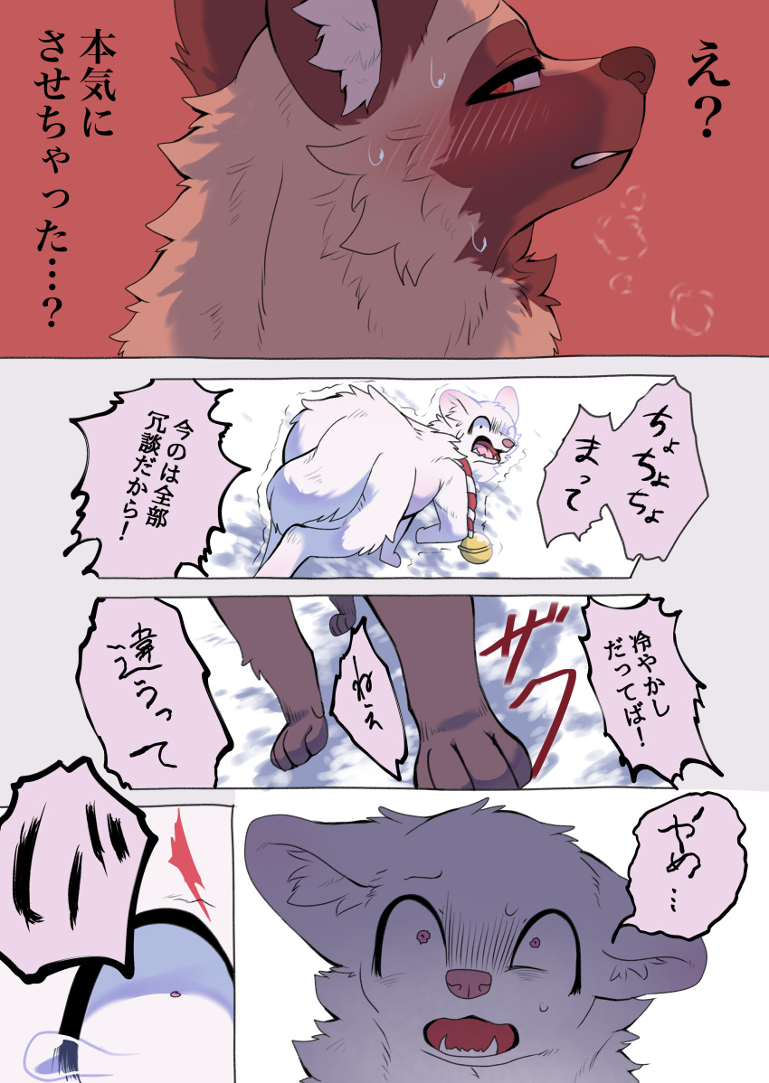 2023 absurd_res ambiguous_gender bell bell_collar black_nose blush bodily_fluids brown_body brown_ears brown_eyes brown_fur canid canine cheek_tuft collar comic dialogue digital_media_(artwork) duo facial_tuft feral fur gloves_(marking) hakuri_(kurumilky6) hi_res inner_ear_fluff japanese_text kurumilky6 mammal marimo_(kurumilky6) markings open_mouth prick_ears quadruped raccoon_dog red_eyes running_away snow speech_bubble sweat tan_body tan_fur tanuki text translated tuft white_body white_fur white_inner_ear_fluff