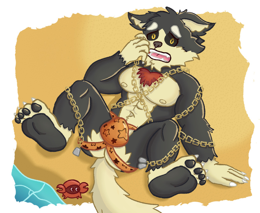 anthro beach bulge canid canine canis chain clothing detailed_bulge feet garmr hi_res lifewonders male male/male mammal nipples pecs soles solo tokyo_afterschool_summoners underwear wolf zamir503