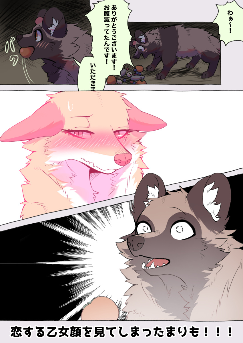 2023 absurd_res ambiguous_gender black_nose blush brown_body brown_ears brown_eyes brown_fur canid canine cave cheek_tuft comic dialogue digital_media_(artwork) duo eating eyelashes facial_tuft feral fox fur gloves_(marking) hi_res inner_ear_fluff japanese_text kurumilky6 mammal marimo_(kurumilky6) markings mikan_(kurumilky6) mouse murid murine open_mouth orange_body orange_fur prick_ears quadruped raccoon_dog red_eyes rodent speech_bubble tan_body tan_fur tanuki text translated tuft white_body white_fur white_inner_ear_fluff