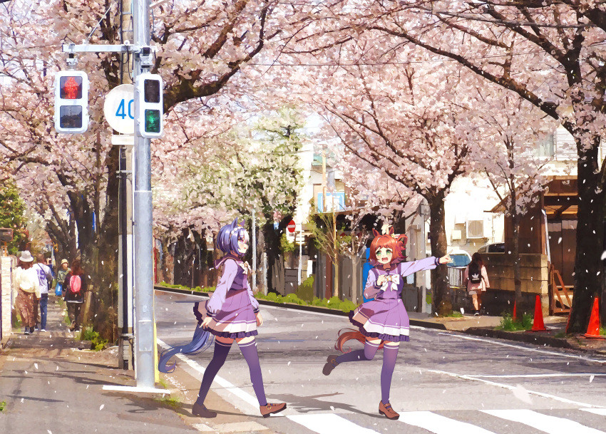 2girls :d absurdres ahoge amane_hikari animal_ears blue_hair bow bowtie braid brown_footwear brown_hair cesario_(umamusume) cherry_blossoms crown_braid from_side green_eyes highres horse_ears horse_girl horse_tail loafers long_sleeves looking_to_the_side multicolored_hair multiple_girls pleated_skirt pointing purple_eyes purple_skirt purple_thighhighs rhein_kraft_(umamusume) school_uniform shoes short_hair skirt smile tail thighhighs tracen_school_uniform traffic_light two-tone_hair umamusume white_bow white_bowtie white_hair