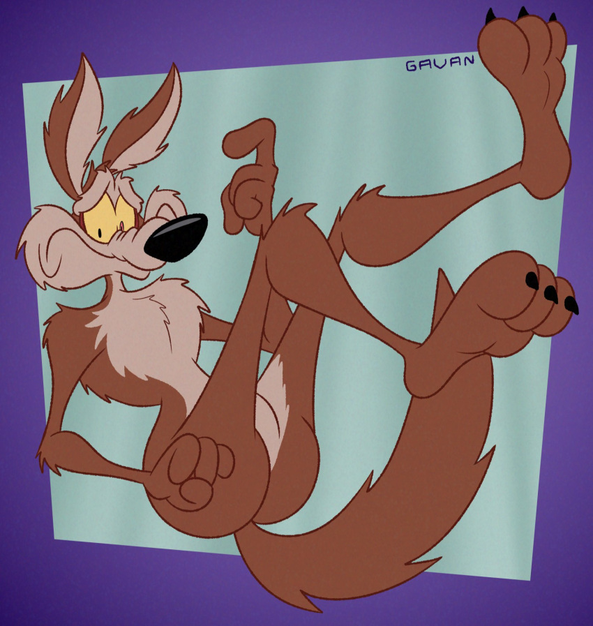3_toes 4_fingers anthro barefoot belly biped black_eyes black_nose brown_body brown_fur butt canid canine canis claws coyote digital_drawing_(artwork) digital_media_(artwork) falling feet fingers flat_colors fur gavanzude hi_res humanoid_feet legs_up looney_tunes male mammal nude pecs pinup plantigrade pose raised_foot soles solo tan_belly tan_body tan_fur toe_claws toes warner_brothers wile_e._coyote worried worried_face worried_look yellow_sclera