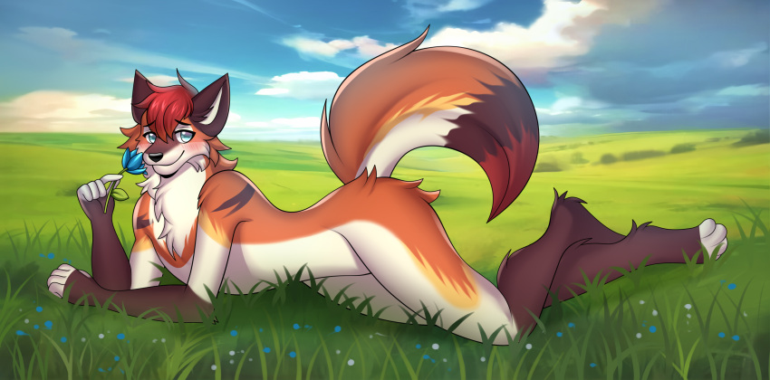 anthro blush canid canine fox girly hi_res kodaro looking_at_viewer male mammal morrrisey(artist) nude red_fox sky smile true_fox